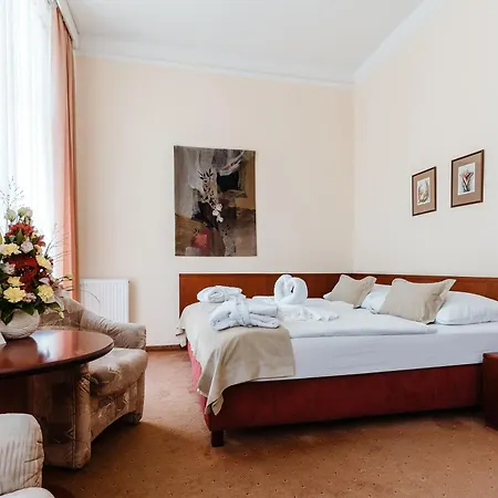 Monti Hotel Františkovy Lázně