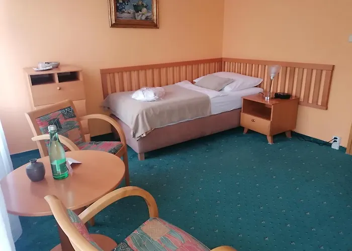 蒙蒂spa酒店 4* Františkovy Lázně