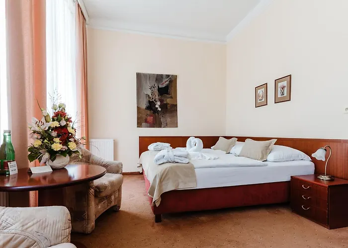 Monti Hotel Františkovy Lázně