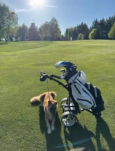 Monti Františkovy Lázně