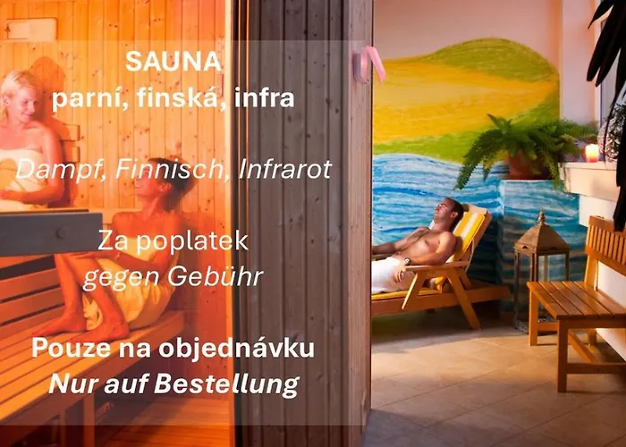 蒙蒂spa酒店 Františkovy Lázně