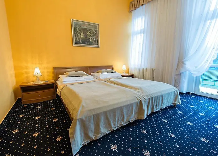 蒙蒂spa酒店 4* Františkovy Lázně