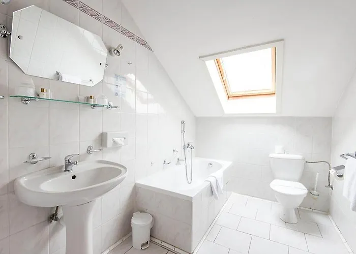 蒙蒂spa酒店 Františkovy Lázně